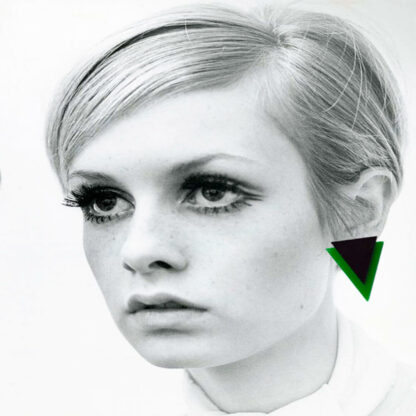 Twiggy